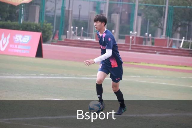 Bsport公司介绍图片